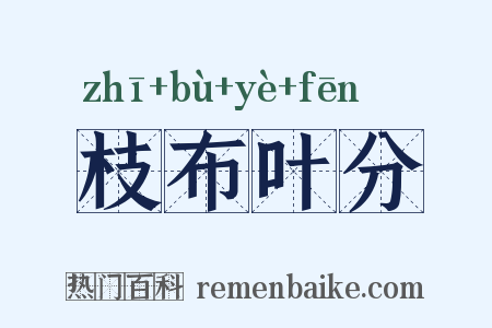 枝布叶分是什么意思的图片